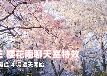 LINE 櫻花雨聊天室特效